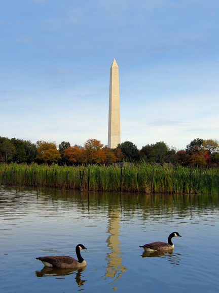 Washington *