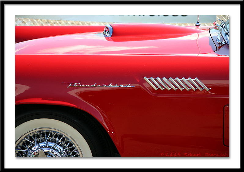 Fabulous T-bird