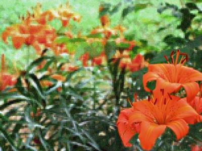 Orange You Glad?