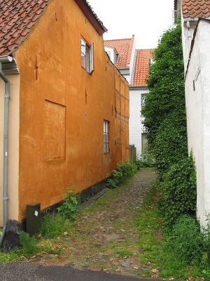 Backstreet after rain