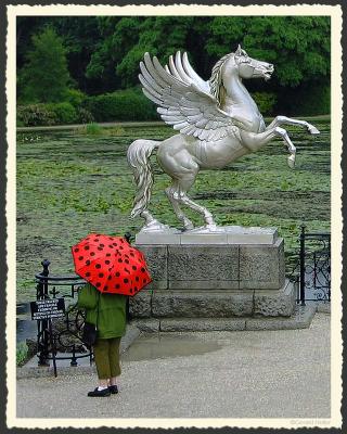 Pegasus, frightened by red umbrella (*)