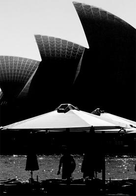 In the Shadow 
