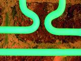 <B>Neon Lights</b>