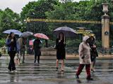 The joy of rain *