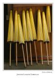 Japanese Lacquer Umbrellas<br>2nd Place<br>Julian Hebbrecht