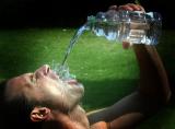 <b>1st:</b>Refreshing*  by <b>Pedro</b>