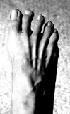 <b>Tendons</b>