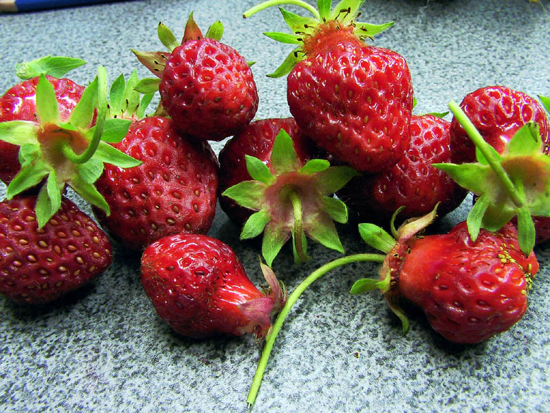 Delicious Color !!!
