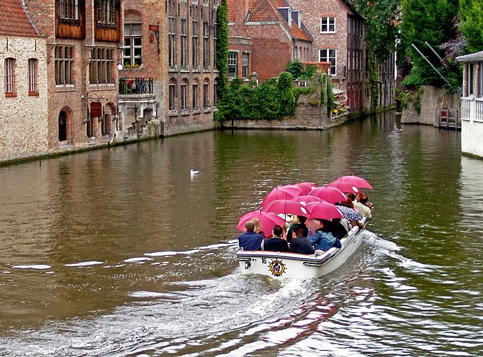 Rain Tours