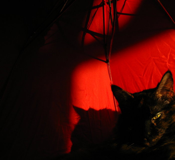 Portrait in Black and Red *