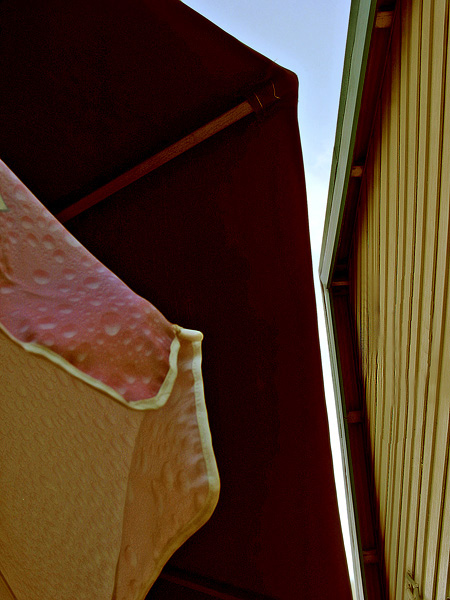Two Brollies *