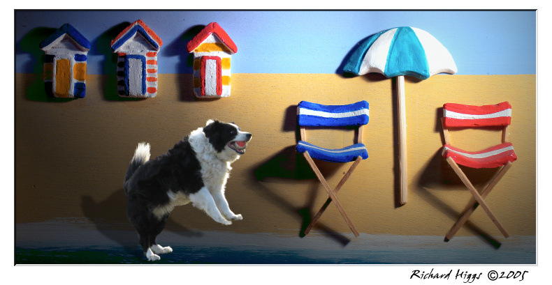 My Dogs beach :-) (*)