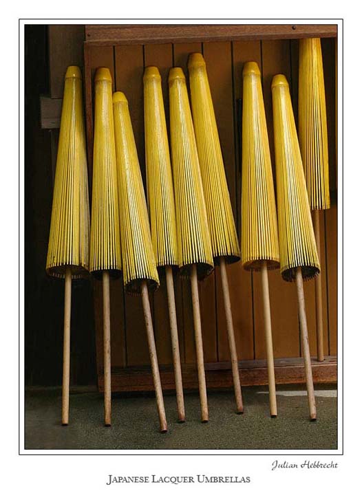 Japanese Lacquer Umbrellas<br>2nd Place<br>Julian Hebbrecht