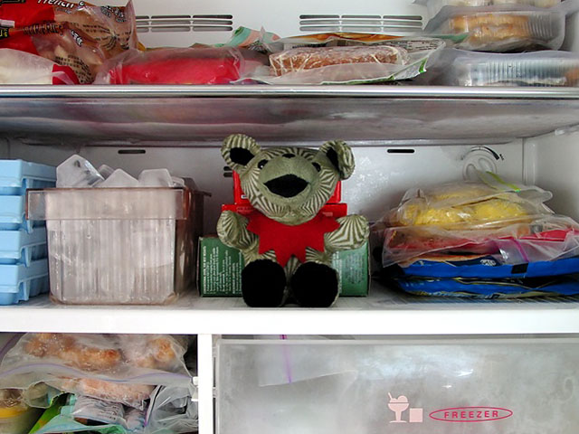Inside the (Ice)Box*
