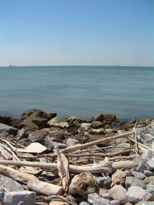 u11/dan_wolf/medium/2365293.ferry_02.jpg