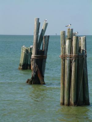 u11/dan_wolf/medium/2365295.ferry_04.jpg