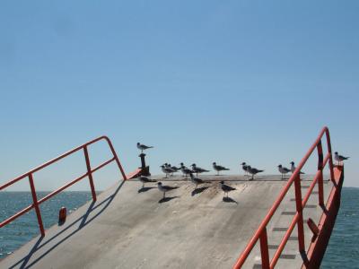 u11/dan_wolf/medium/2365300.ferry_09.jpg