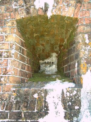 u11/dan_wolf/medium/2369971.fort_18.jpg