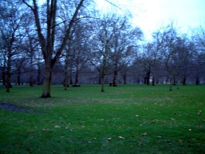 ......Its green,its a park,hence Green Park...us Brits have a way with words lol!!!!......