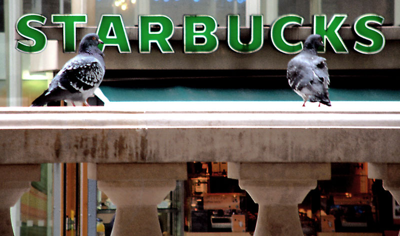  Hey!!!........Fancy a quick coffee? 