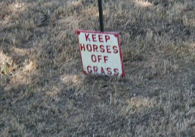 We like to keep our horses sober!