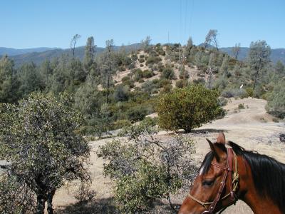 Heading out on the trail . . .