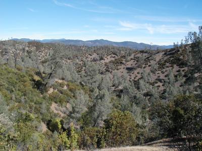 A vista from a high trail . . .