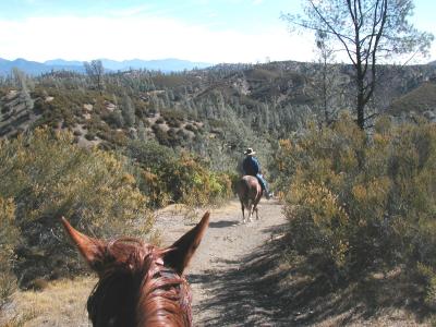 Heading out on a trail ride . . .