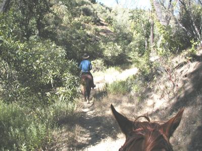 And now we descend down to the creek