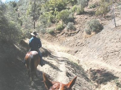 Which climbs up out of the canyon . . .