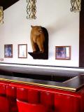 And a bar with a bear!