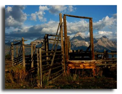u11/davewyman/medium/6948984.fence.jpg
