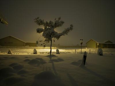 Night Snow