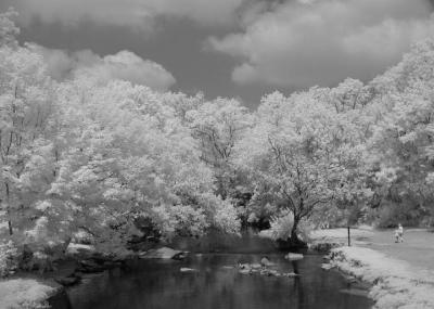 beargrass creek