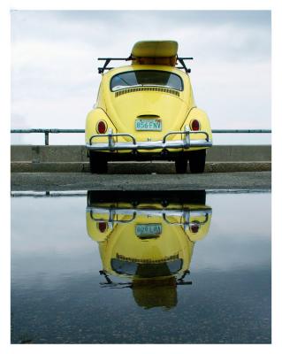 u11/dellybean/medium/42852085.weekendotherTheBug.jpg
