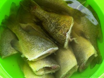 First Fresh Fish Meal of 2005.jpg