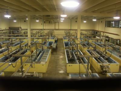 Fish Hatchery 2.jpg