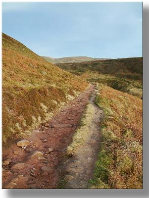 Well-worn path