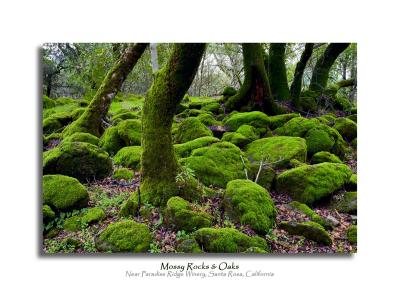 Mossy Rocks