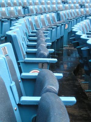 Yankee Empty Seats.jpg