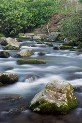 Oconoluftee River 2w.jpg