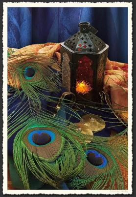 Still Life With Peacock Feathers