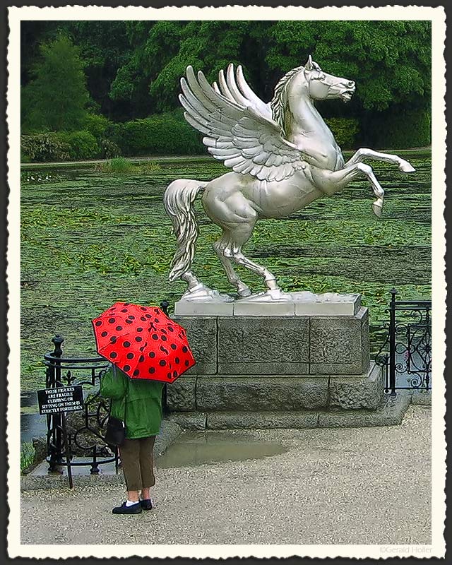 Pegasus, frightened by red umbrella.