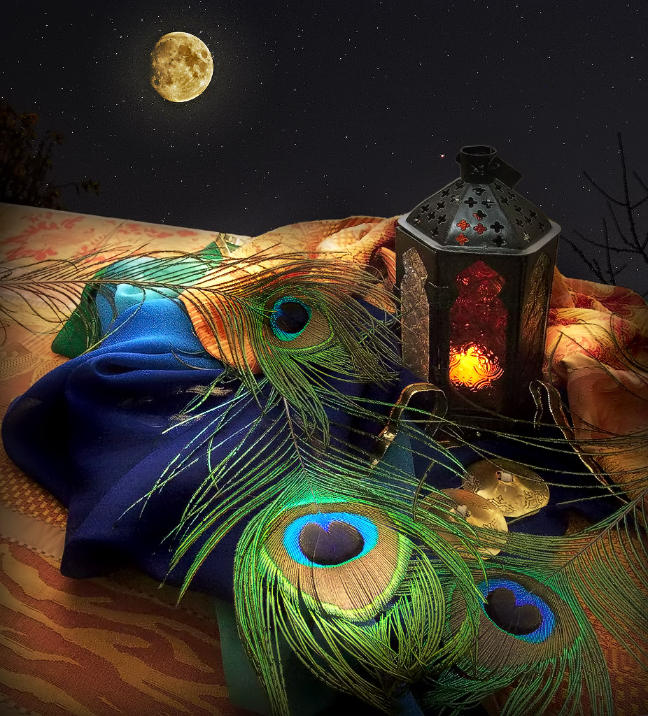 night9885.jpg