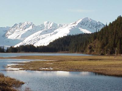 East Fork Creek near Sunrise Alaska located on the Kenai Peninsula