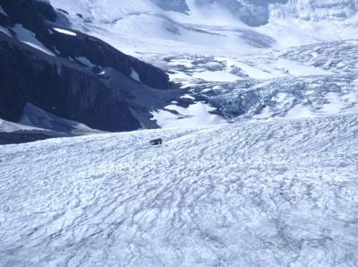Athabaska Glacier.jpg
