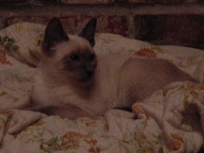 DSC00008.JPG