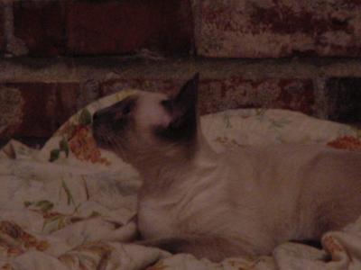 DSC00009.JPG