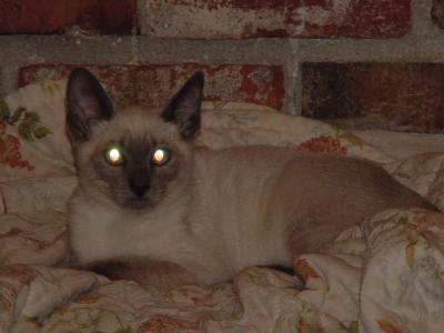 DSC00010.JPG