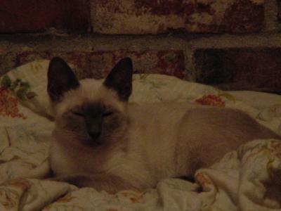 DSC00012.JPG